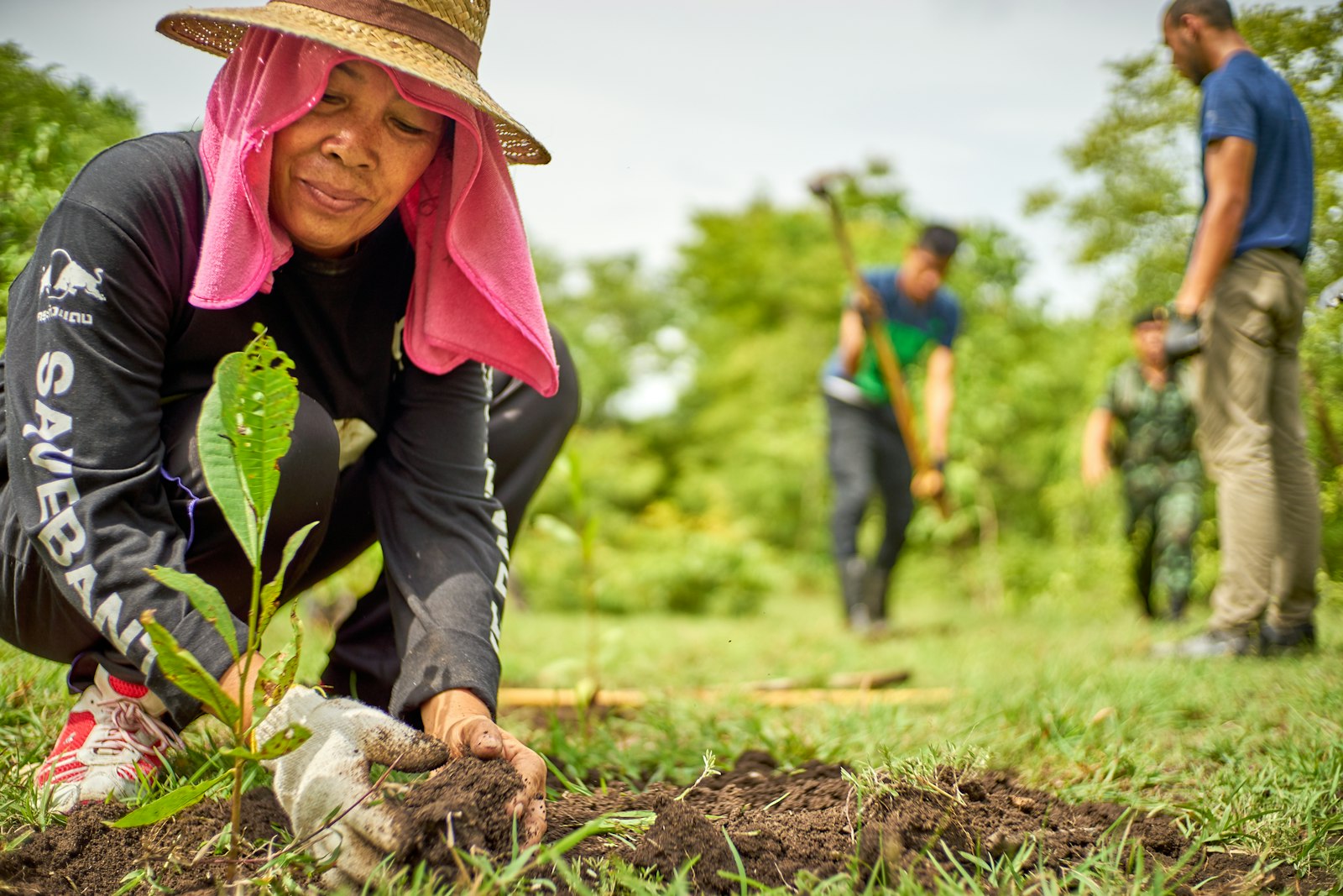 Environmental Stewardship
